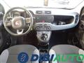 FIAT PANDA 1.2 EasyPower Easy GPL NEOPAT.