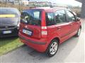 FIAT PANDA 1.2 Alessi Emotion - OK NEOPATENTATI -