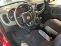 FIAT PANDA 1.0  Hybrid City Life 13.900