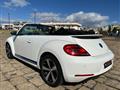 VOLKSWAGEN MAGGIOLINO Cabrio 1.4 TSI DSG Sport 60's (Fender/LED/Auto)