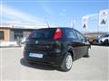 FIAT PUNTO 1.2 5 porte Active