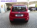 FIAT PANDA 1.0 FIREFLY 70 CV S&S HYBRID KM0