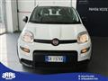 FIAT PANDA 1.0 FireFly S&amp;S Hybrid City Life