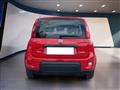 FIAT PANDA III 2021 1.0 firefly hybrid City Life s&s 70cv 5p.ti