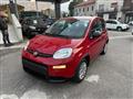 FIAT PANDA 1.0 FireFly S&S Hybrid con Pack Comfort