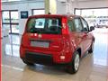 FIAT Panda 1.0 FireFly S&S Hybrid MY24 KM ZERO!!! IVATA NEOPATENTATI