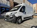 FIAT DUCATO Fiat Ducato Coibentato Isotermico Frigorifero