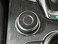 ALFA ROMEO STELVIO 2.2 Turbodiesel 190 CV AT8 Q4 Business