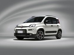 FIAT PANDA 3ª serie 1.0 FireFly S&S Hybrid City Cross