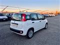 FIAT PANDA 1.2 Easy+NEOPATENTATI+SOLO 66000 KM