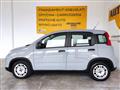 FIAT PANDA 1.0 FireFly S&S Hybrid City Life  5 POSTI