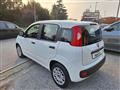 FIAT PANDA 1.2 Easy  X NEOPATENTATI   FY023