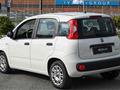 FIAT PANDA 1.0 FireFly S&S Hybrid 5 P.TI