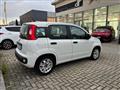 FIAT PANDA 1.2 EasyPower Easy