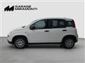 FIAT Panda 1.0 firefly hybrid s&s 70cv