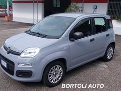 FIAT PANDA 1.2 35.000 KM EASY IDONEA PER NEOPATENTATI