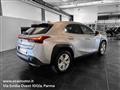 LEXUS UX Hybrid Business