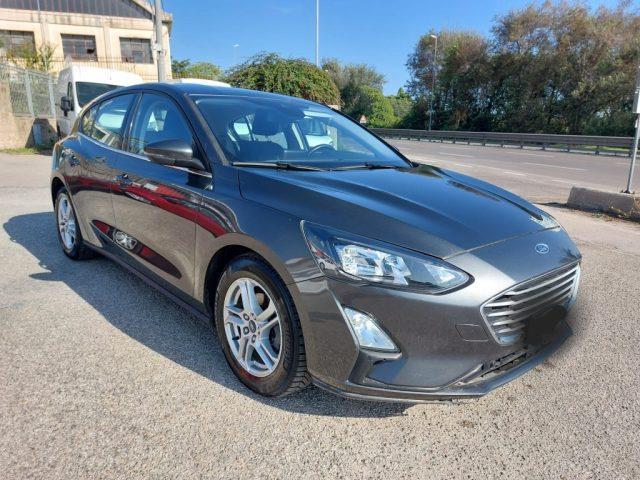 FORD FOCUS 1.5 EcoBlue 120 CV 5p. Business