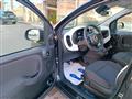 FIAT PANDA 1.0 FireFly S&S Hybrid Pandina con Rott.ne