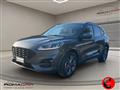 FORD KUGA 2.0 EcoBlue 120 CV aut. 2WD ST-Line