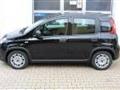 FIAT PANDA FIAT PANDA