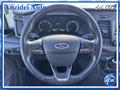 FORD TRANSIT 2.0 EcoBlue 130CV L3H2 9 Posti Trasporto Disabili