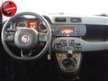 FIAT PANDA 1.2  Lounge