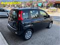 FIAT PANDA 1.2 Pop 70 CV   IDEALE PER NEOPATENTATI