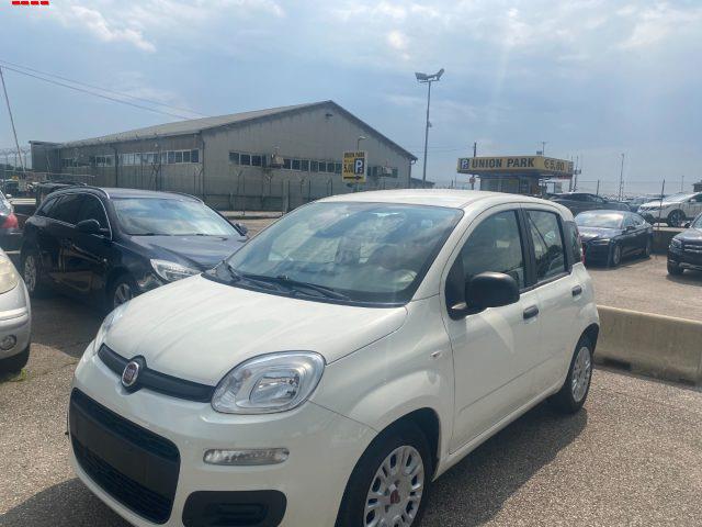 FIAT PANDA 1.0 FireFly S&S Hybrid Easy