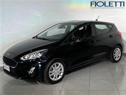 FORD FIESTA 1.1 75 CV GPL 5 porte Business