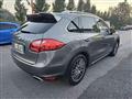 PORSCHE CAYENNE 3.0 Diesel 250CV Platinum Edition