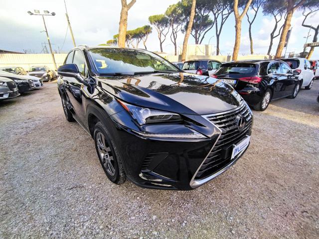 LEXUS NX 2.5cc BUSINESS 155cv SAFETYPACK TELECAMERA NAVI