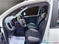 FIAT PANDA 1.0 FireFly S&S Hybrid City Life NEO PATENTATI