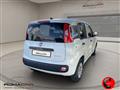 FIAT PANDA VAN 1.0 S&S Hybrid Pop Van 2 posti PRONTA CONSEGNA