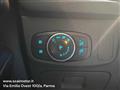 FORD FOCUS 1.5 EcoBlue 120 CV automatico SW ST-Line Co-Pilot