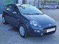 FIAT PUNTO 1.2 8V 5 porte Street