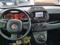 FIAT PANDA 1.0 Hybrid 5posti sensori