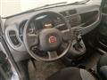 FIAT PANDA 3ª serie 1.0 FireFly S&S Hybrid