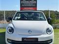 VOLKSWAGEN MAGGIOLINO Cabrio 1.4 TSI DSG Sport 60's (Fender/LED/Auto)