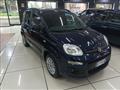 FIAT PANDA 1.2 EasyPower Lounge gpl dellacasa