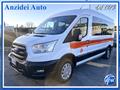 FORD TRANSIT 2.0 EcoBlue 130CV L3H2 9 Posti Trasporto Disabili