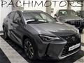 LEXUS UX Hybrid 4WD Premium Service Lexus