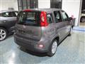 FIAT PANDA CROSS 1.0 70Cv Hybrid 2023 - Ok Neopat. P.CONSEGNA