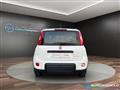 FIAT PANDA 1.0 FireFly S&S Hybrid City Life NEO PATENTATI