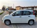 FIAT PANDA 1.2 Easy  X NEOPATENTATI   FY023