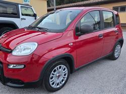 FIAT PANDA 1.0 HYBRID S&S 70 CV SENSORI PARK RADIO TOUCH BT