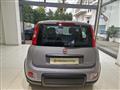 FIAT PANDA 1.0 FireFly S&S Hybrid City Life da ?129,00 mensil