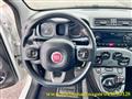 FIAT PANDA 1.2 Lounge / 5 Posti