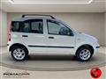 FIAT PANDA 1.2 Dynamic NATURAL POWER