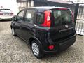 FIAT PANDA 1.0 FireFly S&S Hybrid Pandina